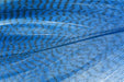 Troutline Premium Mallard Barred Feathers - Upavon Fly Fishing