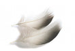 Veniard Select Mallard Duck Bronze Flank Feathers - Upavon Fly Fishing
