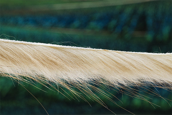 Troutline Muskrat Zonker Strips 3mm - Upavon Fly Fishing