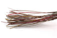 Troutline Hand Selected Stripped Peacock Quill - Upavon Fly Fishing
