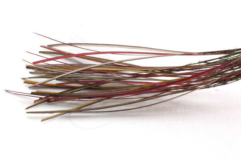 Troutline Hand Selected Stripped Peacock Quill - Upavon Fly Fishing