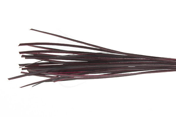 Troutline Hand Selected Stripped Peacock Quill - Upavon Fly Fishing