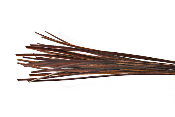 Troutline Hand Selected Stripped Peacock Quill - Upavon Fly Fishing
