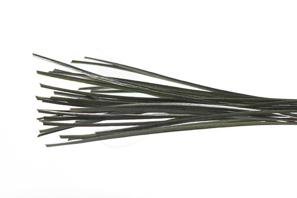 Troutline Hand Selected Stripped Peacock Quill - Upavon Fly Fishing