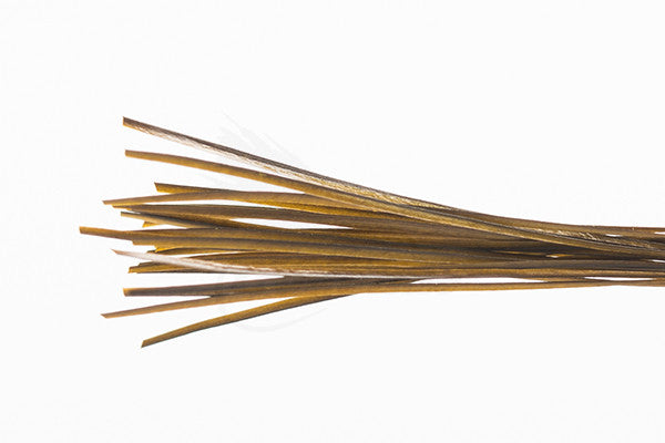 Troutline Hand Selected Stripped Peacock Quill - Upavon Fly Fishing