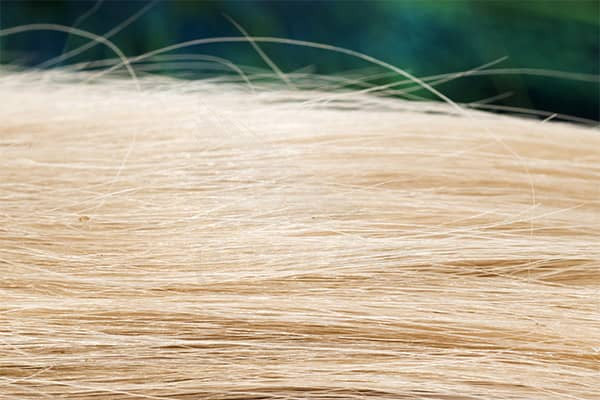 Troutline Premium Long Goat Fur - Upavon Fly Fishing