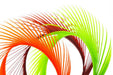Troutline Selected Goose Biots - Upavon Fly Fishing