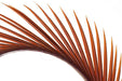 Troutline Selected Goose Biots - Upavon Fly Fishing