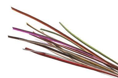 Troutline Hand Selected Stripped Peacock Quill - Upavon Fly Fishing