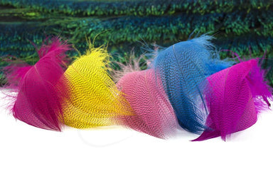 Troutline Premium Mallard Barred Feathers - Upavon Fly Fishing