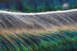 Troutline - Troutline Muskrat Zonker Strips 3mm - Upavon Fly Fishing