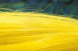 Troutline - Troutline Premium Long Goat Fur - Upavon Fly Fishing