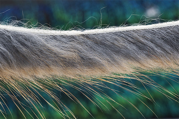 Troutline Muskrat Zonker Strips 3mm