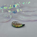 Upavon XO Shrimp Back - Upavon Fly Fishing