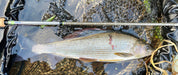 Upavon Rod Ruler & Fish Measures - Upavon Fly Fishing