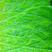Upavon Pure UV Straggle Hackle - Upavon Fly Fishing