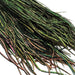 Upavon Premium Peacock Herl - Upavon Fly Fishing