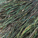 Upavon Premium Peacock Herl - Upavon Fly Fishing