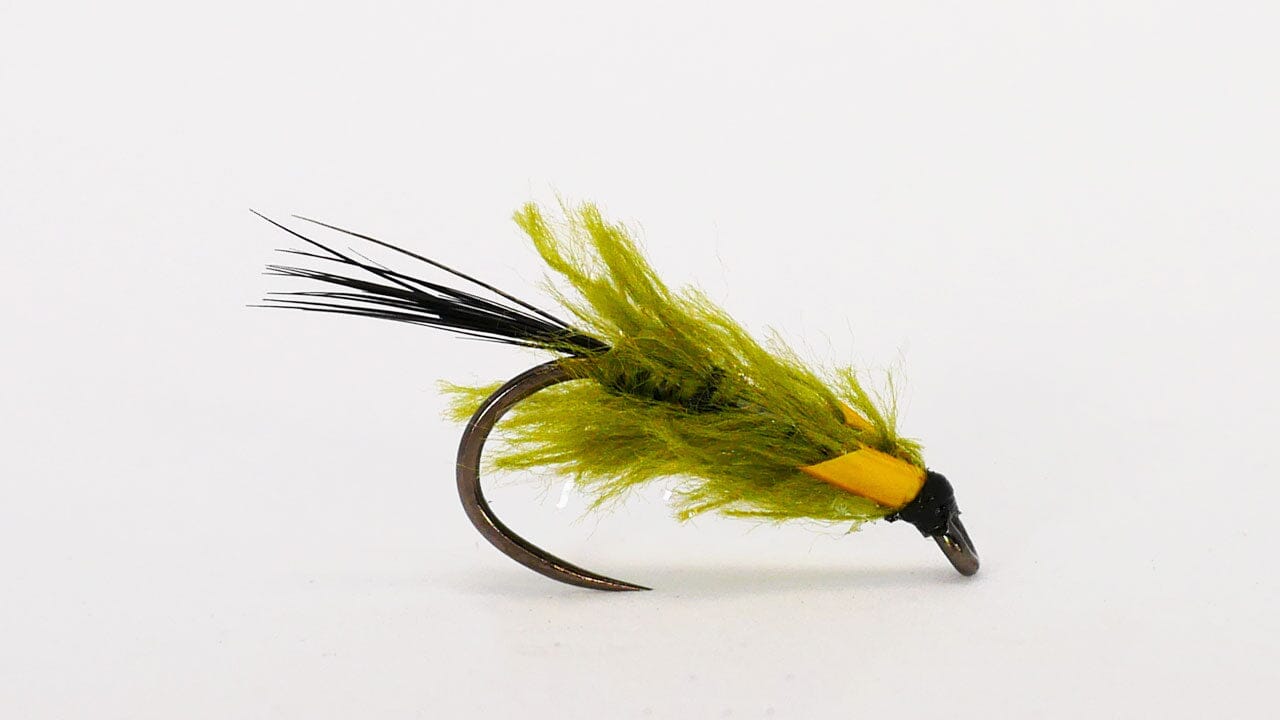 Pseudo Diawl Bach Olive