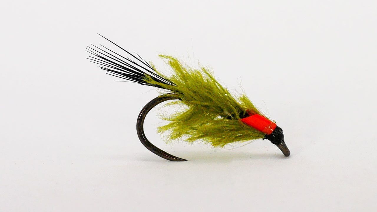 Pseudo Diawl Bach Olive