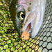 UPAVON FLY FISHING - Upavon Atomic Egg Chenille - Upavon Fly Fishing