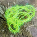 UPAVON FLY FISHING - Upavon Menteith Flash Cat Yellow Straggle 8mm (Ltd Edition) - Upavon Fly Fishing
