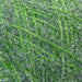 UPAVON FLY FISHING - Upavon Original Synergy Straggle - Upavon Fly Fishing