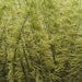 UPAVON FLY FISHING - Upavon Pure Colour Straggle Hackle - Upavon Fly Fishing