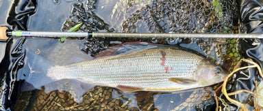 UPAVON FLY FISHING - Upavon Rod Ruler & Fish Measures - Upavon Fly Fishing