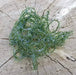 UPAVON FLY FISHING - Upavon Super Fine UV Micro Straggle (Ltd Edition) - Upavon Fly Fishing