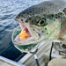 UPAVON FLY FISHING - Upavon Triple Tone UV Blob Fritz - Upavon Fly Fishing
