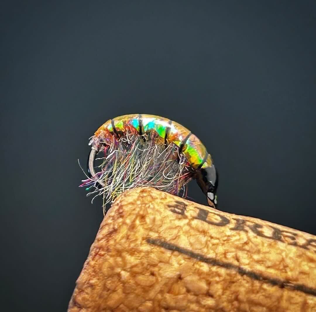Upavon XO Shrimp Back