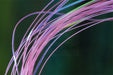 Troutline UV Micro Ribbing Quill - Upavon Fly Fishing