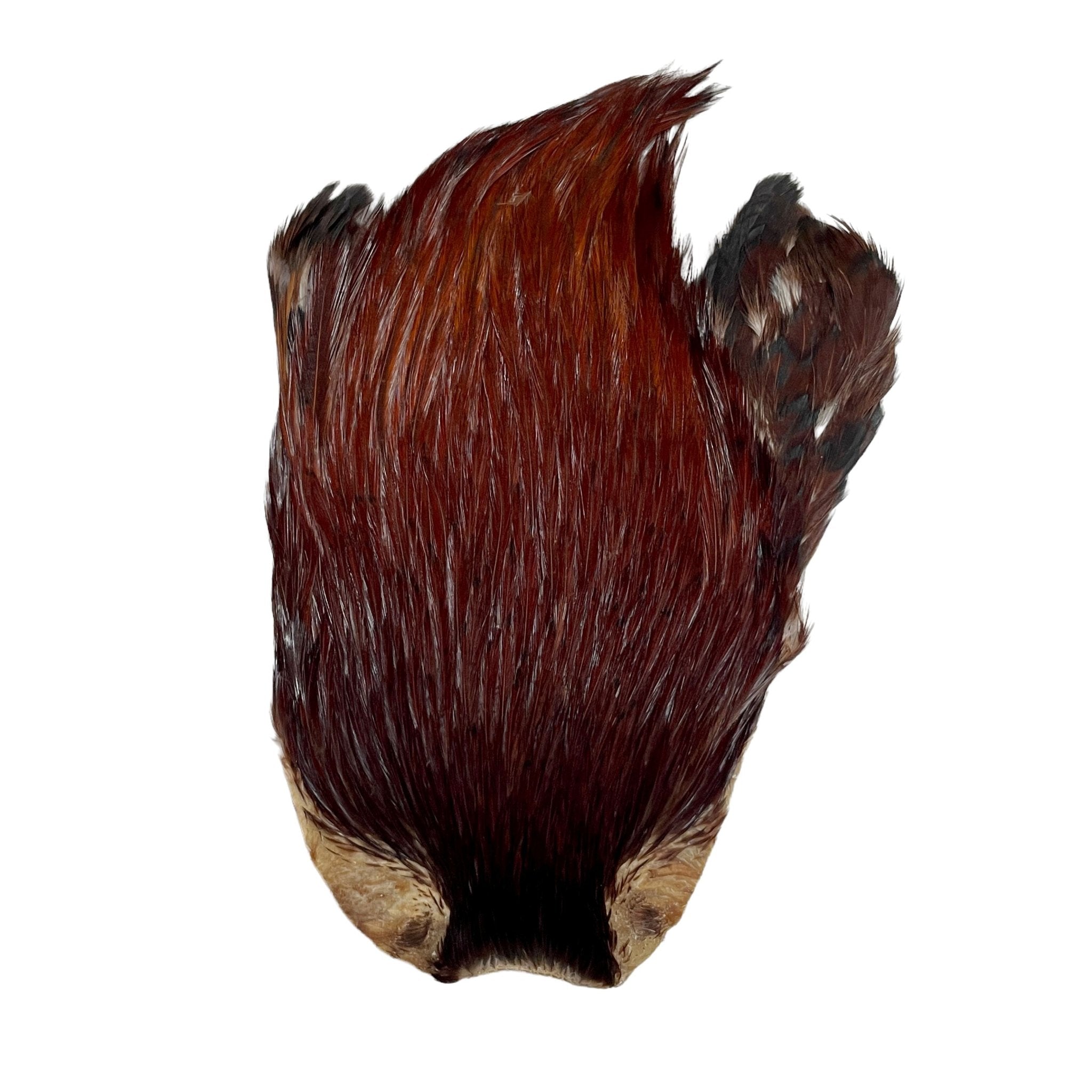Veniard Indian Cock Capes