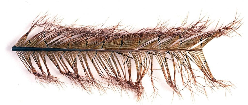 Veniard Knotted Cock Pheasant Tails