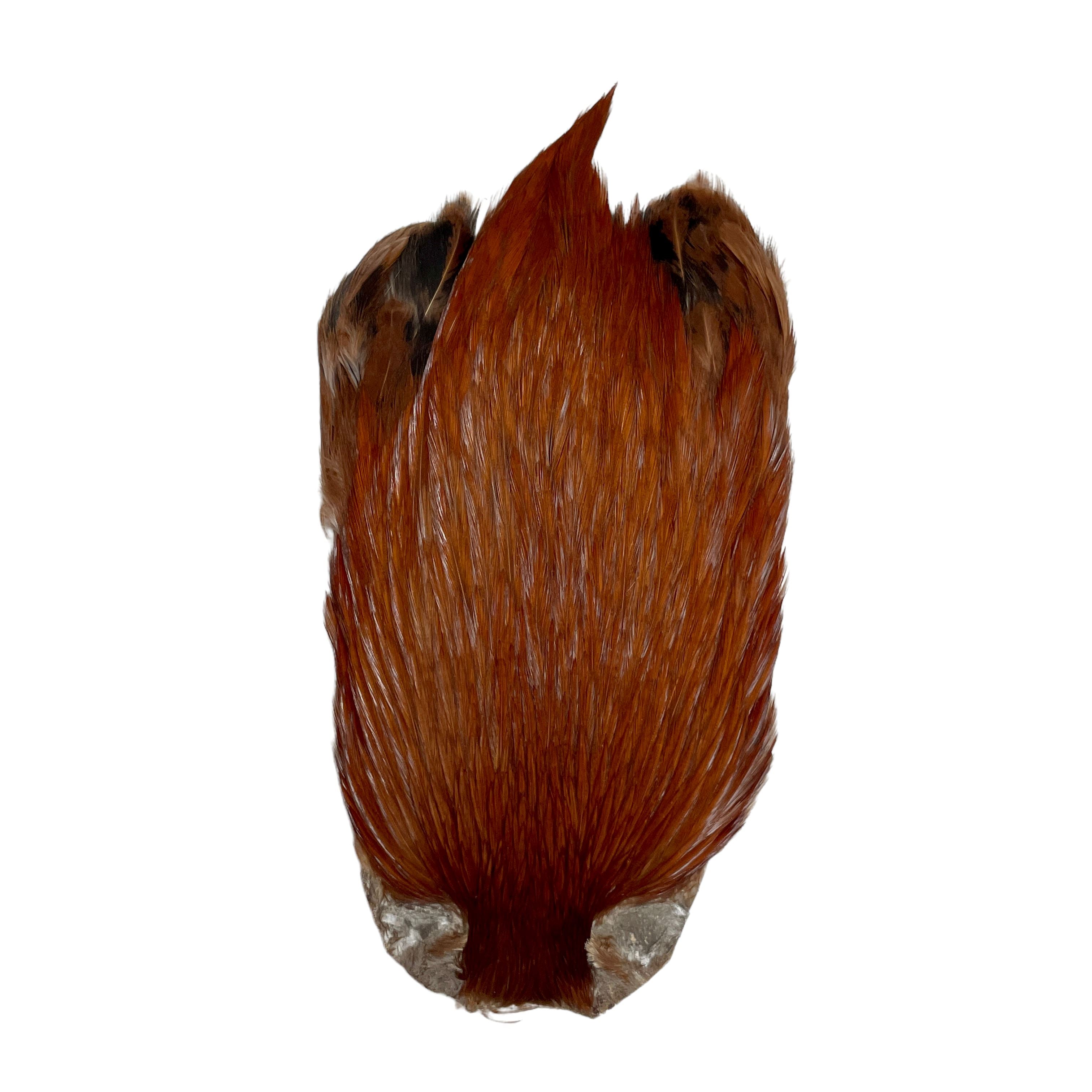Veniard Indian Cock Capes - Upavon Fly Fishing