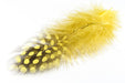 Troutline Selected Guinea Fowl Feathers - Upavon Fly Fishing